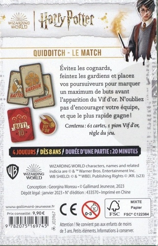 Harry Potter - Quidditch, le match