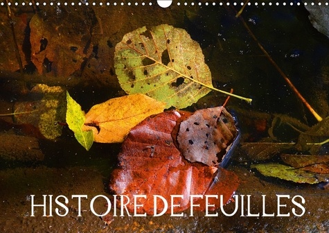 Histoire de feuilles. Quand les feuilles d'automne jouent les starlettes... Calendrier mural A3 horizontal 2017