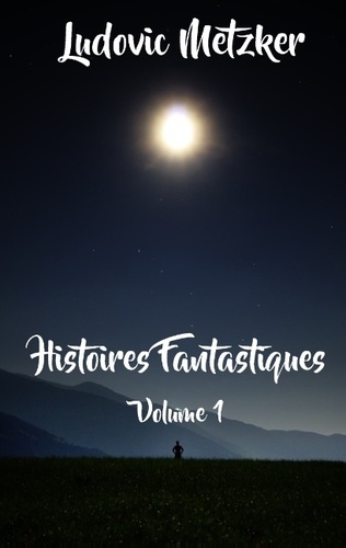 Ludovic Metzker - Histoires fantastiques - Tome 1.