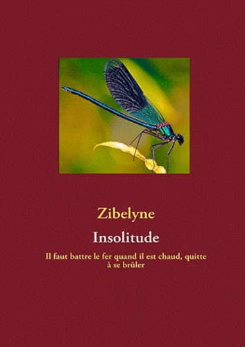 Eve Zibelyne - Insolitude - Il faut battre le fer quand il est chaud, quitte à se brûler.