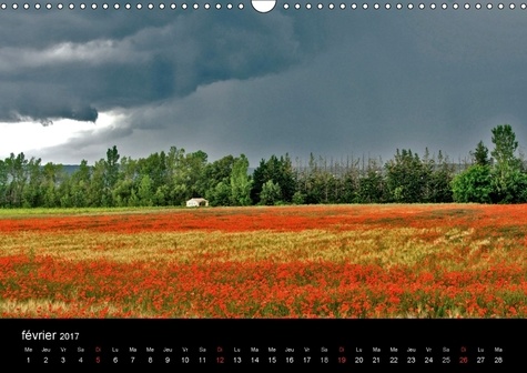 Joli p'tit coquelicot. Joli p'tit coquelicot, l'été n'est pas loin. Calendrier mural A3 horizontal  Edition 2017