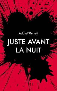 Juste avant la nuit