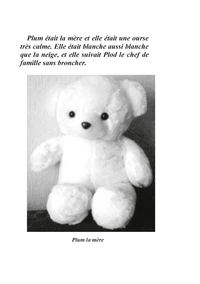 Koko and the bear's cub / Koko et le petit ourson
