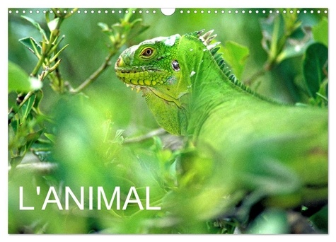 Patrice Thébault - CALVENDO Animaux  : L'ANIMAL (Calendrier mural 2024 DIN A3 vertical), CALVENDO calendrier mensuel - Animaux du monde.