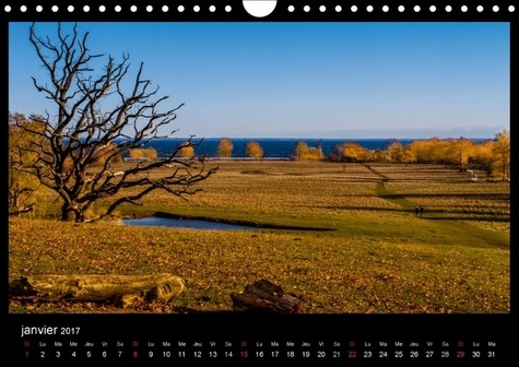 L'arbre graphiste du bois. L'arbre est le graphiste de la forêt et de l'intérieur de son bois. Calendrier mural A4 horizontal 2017