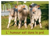 Stéphane Peverada - CALVENDO Animaux  : L'humour est dans le pré (Calendrier mural 2024 DIN A4 vertical), CALVENDO calendrier mensuel - Photo de bovins.