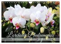 L'orchidée Phalaenopsis (Calendrier mural 2026 DIN A4 vertical), CALVENDO calendrier mensuel