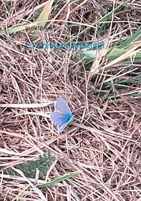 La création applaudit