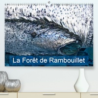 La forêt de Rambouillet(Premium, hochwertiger DIN A2 Wandkalender 2020, Kunstdruck in Hochglanz) - La forêt francilienne de Rambouillet (Calendrier mensuel, 14 Pages ).pdf