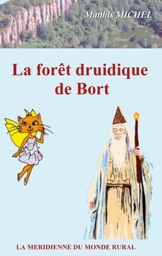 Matthis Michel - La forêt druidique de Bort.