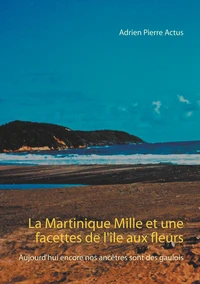 La Martinique - Mille et une facettes de l'île aux fleurs