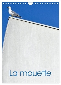 Patrice Thébault - CALVENDO Animaux  : La mouette (Calendrier mural 2024 DIN A4 horizontal), CALVENDO calendrier mensuel - Photographies des mouettes dans nos ports.