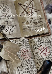La pierre de Srha Tome 3
