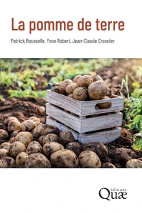 La pomme de terre