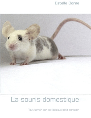 Estelle Corne - La souris domestique.