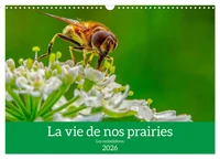 La vie de nos prairie, les ombellifères (Calendrier mural 2026 DIN A3 vertical), CALVENDO calendrier mensuel