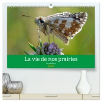 La vie de nos prairie, les papillons (Calendrier mural 2026 DIN A2 vertical) calendrier de bureau