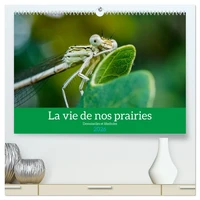 La vie de nos prairies - Demoiselles et libellules  (Calendrier mural 2026 DIN A2 vertical) calendrier de bureau