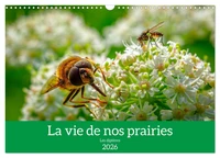 La vie de nos prairies - Les diptères (Calendrier mural 2026 DIN A3 vertical), CALVENDO calendrier mensuel