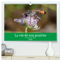La vie de nos prairies - Les guêpes et les abeilles (Calendrier mural 2026 DIN A2 vertical) calendrier de bureau