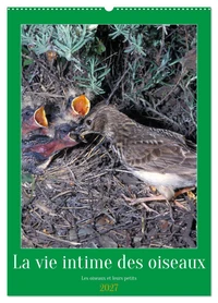 La vie intime des oiseaux Les oiseaux et leurs petits (Calendrier mural 2027 DIN A2 horizontal), CALVENDO calendrier mensuel