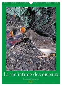 La vie intime des oiseaux Les oiseaux et leurs petits (Calendrier mural 2027 DIN A3 horizontal), CALVENDO calendrier mensuel