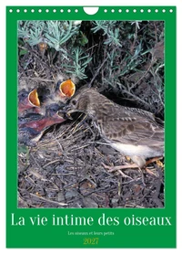 La vie intime des oiseaux Les oiseaux et leurs petits (Calendrier mural 2027 DIN A4 horizontal), CALVENDO calendrier mensuel