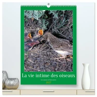 La vie intime des oiseaux Les oiseaux et leurs petits (Calendrier mural haut de gamme 2027 DIN A2 horizontal), CALVENDO calendrier mensuel