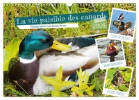 La vie paisible des canards (Calendrier mural 2026 DIN A3 vertical), CALVENDO calendrier mensuel