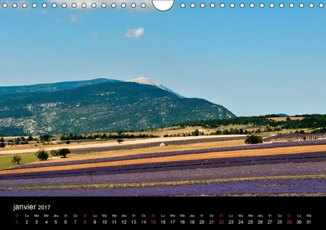 Lavande, l'or bleu de Provence. La lavande, symbole de la Provence, qui colore et parfume les hauts plateaux provençaux de la Drome, du Vaucluse, et des Alpes de Haute Provence. Calendrier mural A4 horizontal  Edition 2017