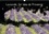 Lavande, l'or bleu de Provence. La lavande, symbole de la Provence, qui colore et parfume les hauts plateaux provençaux de la Drome, du Vaucluse, et des Alpes de Haute Provence. Calendrier mural A3 horizontal  Edition 2017