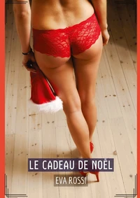 Le cadeau de Noël