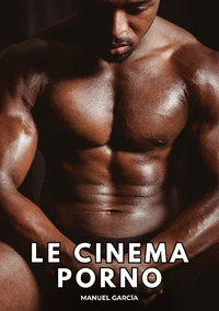 Le cinéma porno
