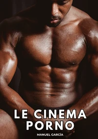 Le cinéma porno