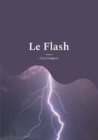 Le Flash