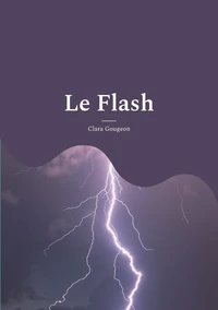Le flash