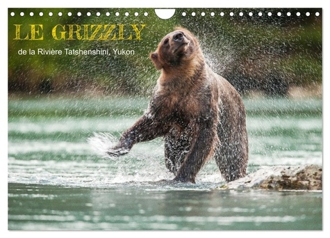 Philippe Henry - CALVENDO Animaux  : LE GRIZZLY de la Rivière Tatshenshini. Yukon (Calendrier mural 2024 DIN A4 vertical), CALVENDO calendrier mensuel - 13 photos de l'ours grizzly.