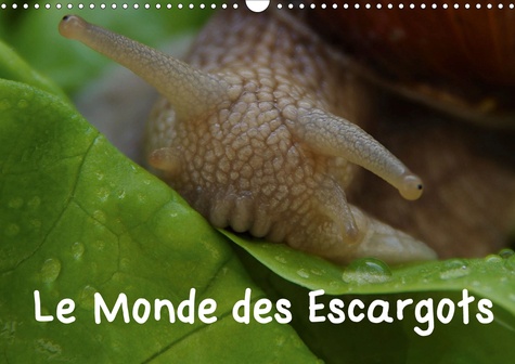 Le Monde des Escargots  Edition 2020
