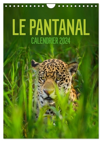 Christina Krutz - CALVENDO Animaux  : Le Pantanal (Calendrier mural 2024 DIN A4 horizontal), CALVENDO calendrier mensuel - Le Pantanal brésilien - un autre monde avec une faune incroyablement riche et colorée.