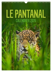 Le Pantanal (Calendrier mural 2026 DIN A3 horizontal), CALVENDO calendrier mensuel