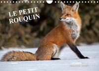 Philippe Henry - CALVENDO Animaux  : LE PETIT ROUQUIN (Calendrier mural 2023 DIN A4 horizontal) - 13 photos de renards au fil des quatre saisons (Calendrier mensuel, 14 Pages ).