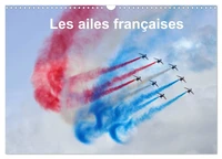 Les ailes françaises (Calendrier mural 2026 DIN A3 vertical), CALVENDO calendrier mensuel