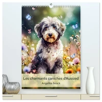 Les charmants caniches d'Aussied - Angelika Beuck  (Calendrier mural 2026 DIN A2 horizontal) calendrier de bureau