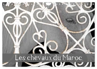 Les chevaux du Maroc (Calendrier mural 2026 DIN A4 vertical), CALVENDO calendrier mensuel