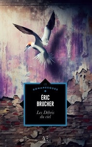 Eric Brucher - Les Débris du ciel.