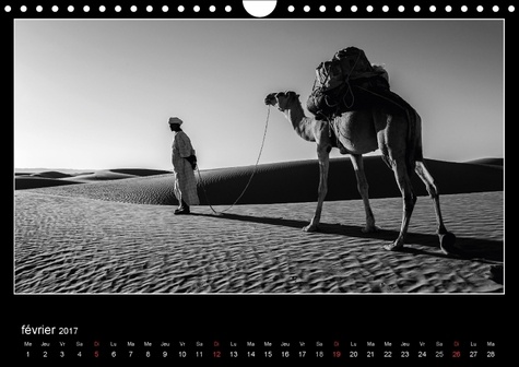 Les dunes de l'Amatlich en Mauritanie. L'Amatlich un désert au Sahara. Calendrier mural A4 horizontal 2017