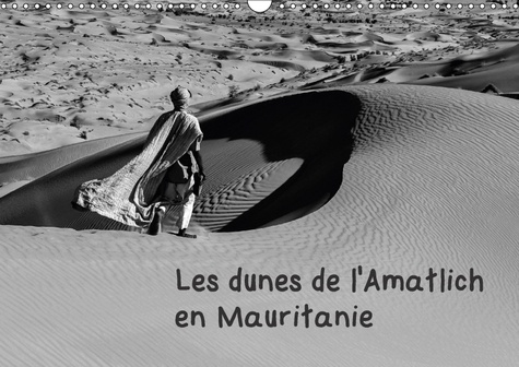 Les dunes de l'Amatlich en Mauritanie. L'Amatlich un désert au Sahara. Calendrier mural A3 horizontal 2017