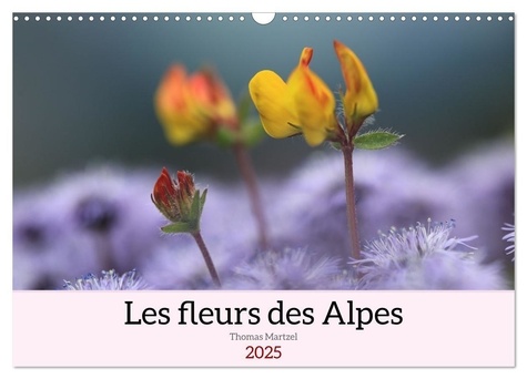 Thomas Martzel - CALVENDO Nature  : Les fleurs des Alpes (Calendrier mural 2025 DIN A3 vertical), CALVENDO calendrier mensuel - Voici le monde coloré et spectaculaire des fleurs alpines.