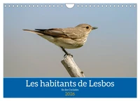 Les habitants de Lesbos Ile des cyclades (Calendrier mural 2026 DIN A4 vertical), CALVENDO calendrier mensuel