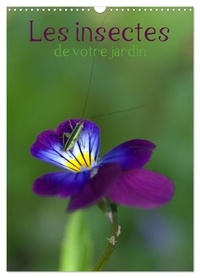 Jérôme Aupeix - CALVENDO Nature  : Les insectes de votre jardin (Calendrier mural 2024 DIN A3 horizontal), CALVENDO calendrier mensuel - Insectes présents dans tous les jardins de France.